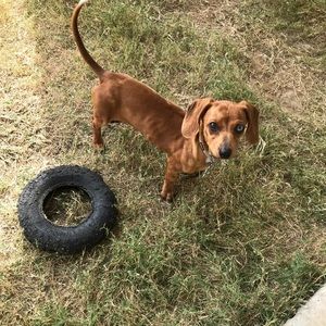 Meet your Posher, Monica